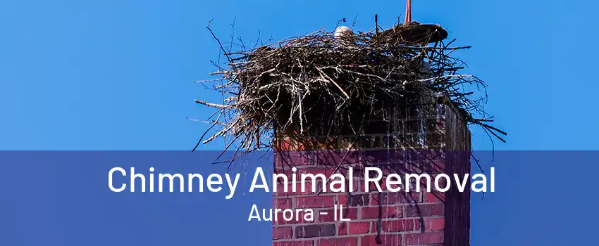 Chimney Animal Removal Aurora - IL