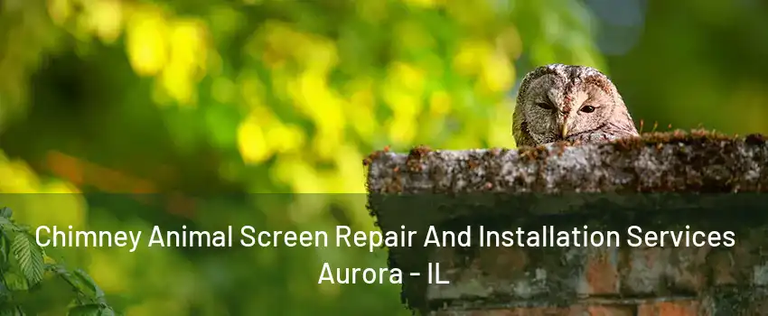 Chimney Animal Screen Repair And Installation Services Aurora - IL