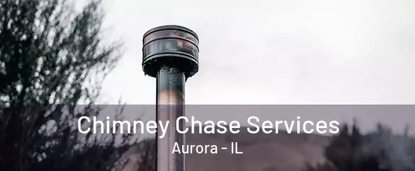 Chimney Chase Services Aurora - IL