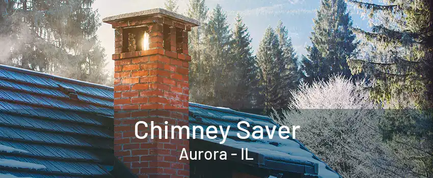 Chimney Saver Aurora - IL